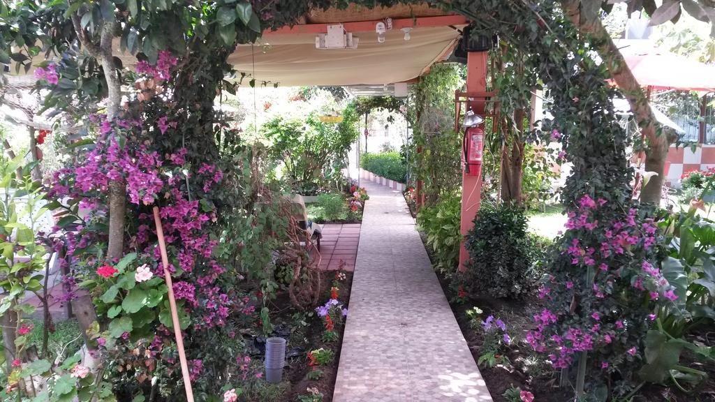 Hostal El Parque Tababela Buitenkant foto